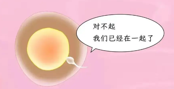 640 (3).png 640 (3).png