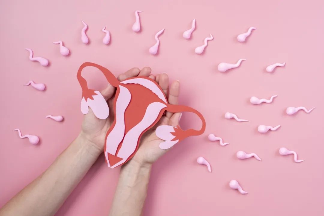 640 (5).jpg 640 (5).jpg