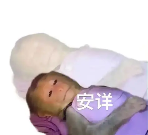 微信图片_2026-09-24_152605_252.png 微信图片_2026-09-24_152605_252.png