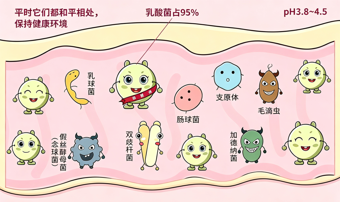 微信图片_2026-09-24_152631_603.png 微信图片_2026-09-24_152631_603.png